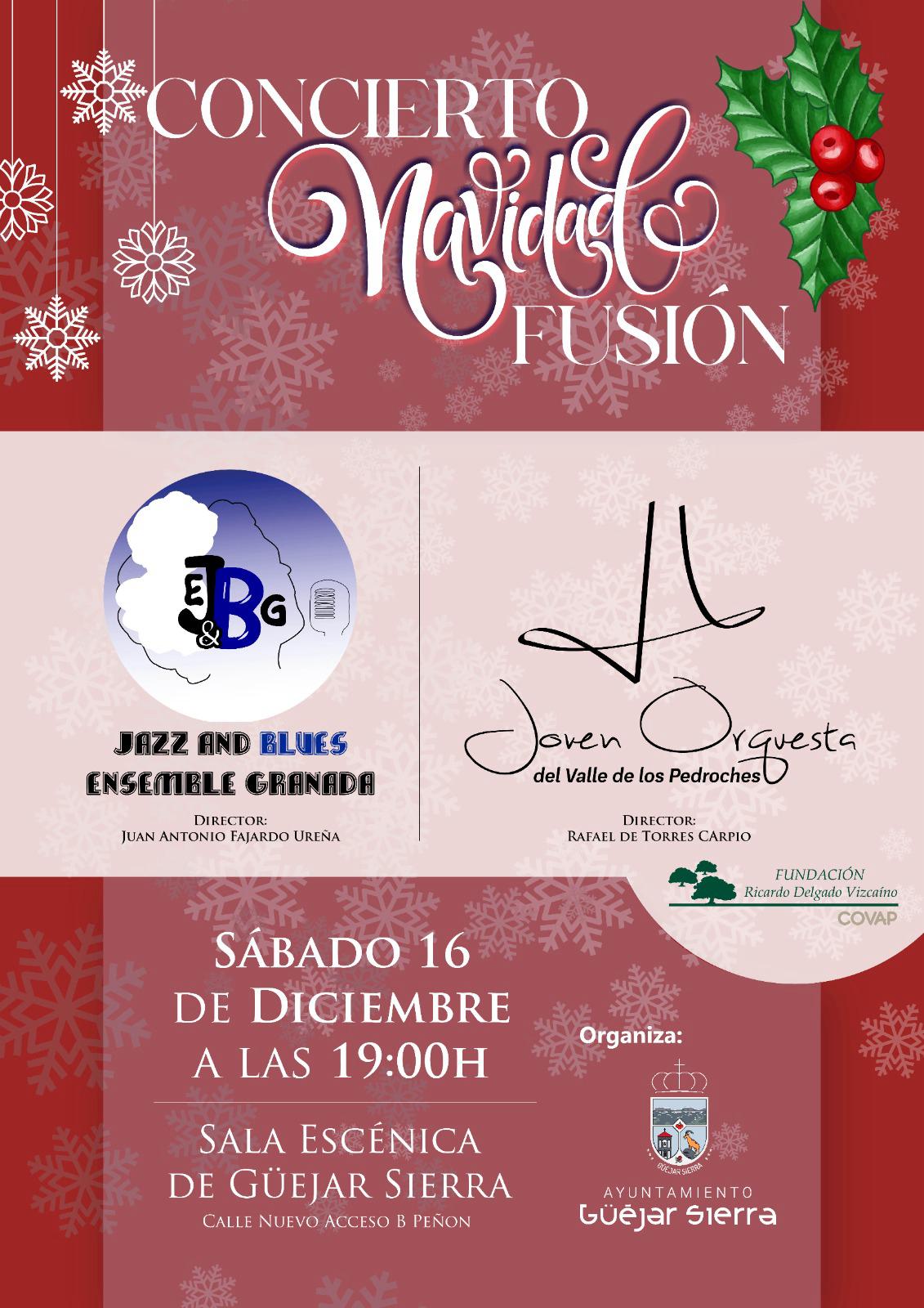 Concierto Navidad Fusión